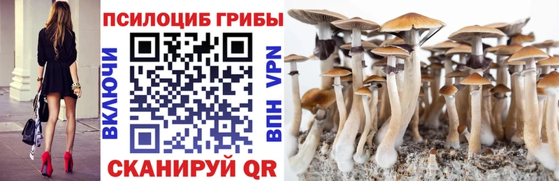 дарк нет какой сайт  Бахчисарай  Псилоцибиновые грибы Cubensis  блэк спрут как войти 